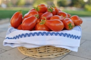 Verse tomatensaus