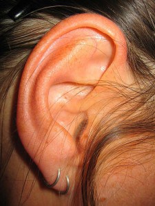 Hoe werkt het oor