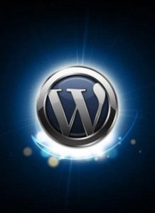 hoe werkt wordpress