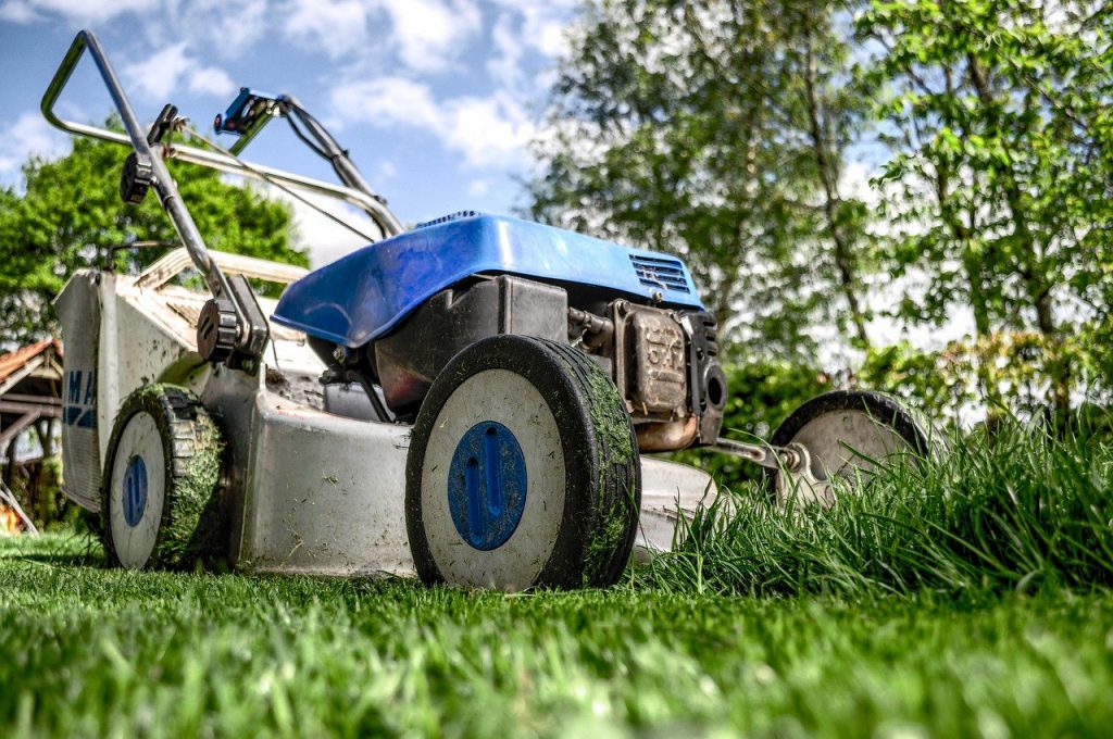 zelf leren tuin verbouwen - zelf tuin verbouwen